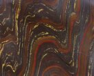 Tiger Iron Stromatolite Shower Tile - Billion Years Old #48795-1